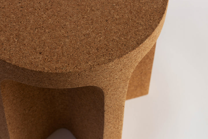 Transfer Stool